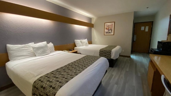 Microtel Inn & Suites by Wyndham Ardmore image 36